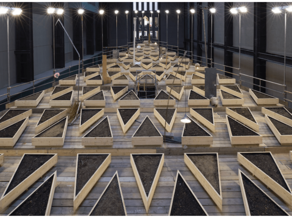 EMPTY LOT IS FULL OF&nbsp;HOPE